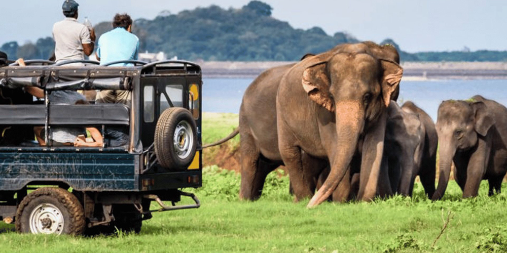 Yala-National-Park-2