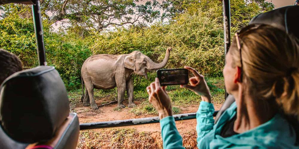 Yala-national-park-closure