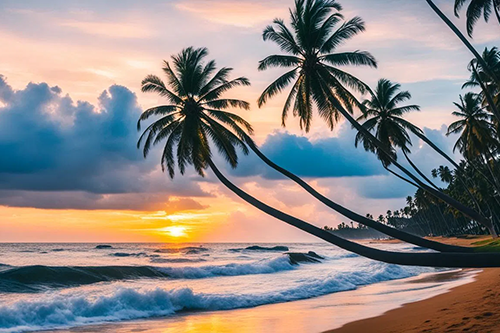 places-to-visit-in-negombo